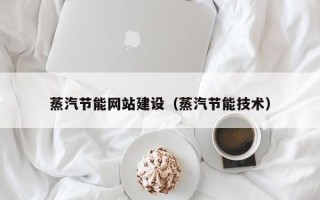定西蒸汽节能网站建设（蒸汽节能技术）